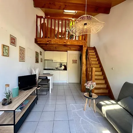 La Parenthese Landaise Duplex Renove Avec Jardin & Piscine *