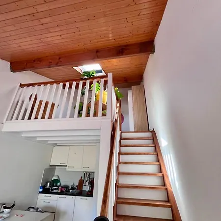 La Parenthese Landaise Duplex Renove Avec Jardin & Piscine Saint-Julien-en-Born